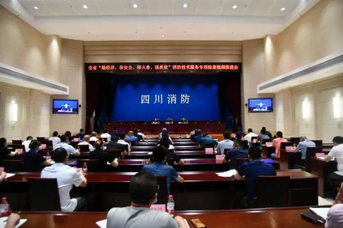 嚴查消防隱患，筑牢安全防線——四川消防技術服務機構專項檢查取得階段性成效
